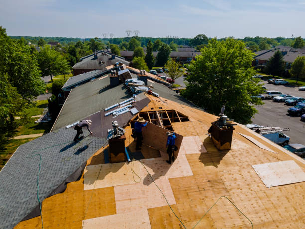 Trusted Roof Replacement service in Lyndhurst, VA - Brentwood Metal Roofing